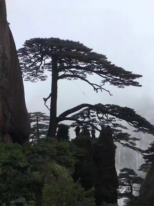 未标题-10.jpg